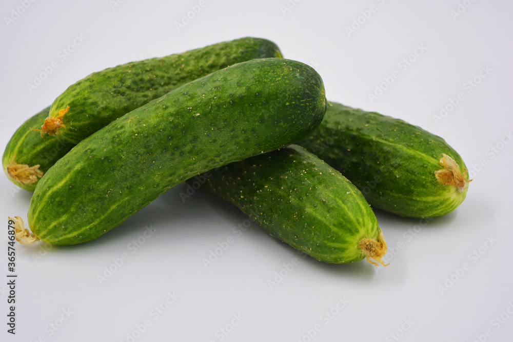 Young juicy cucumbers, Ukrainian cucumber harvest arranged on a white background. Fresh vegetables, healthy food for every day. Young juicy cucumbers, Ukrainian cucumber harvest arranged on a white background. Fresh vegetables, healthy food for every day.