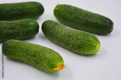 Young juicy cucumbers, Ukrainian cucumber harvest arranged on a white background. Fresh vegetables, healthy food for every day.