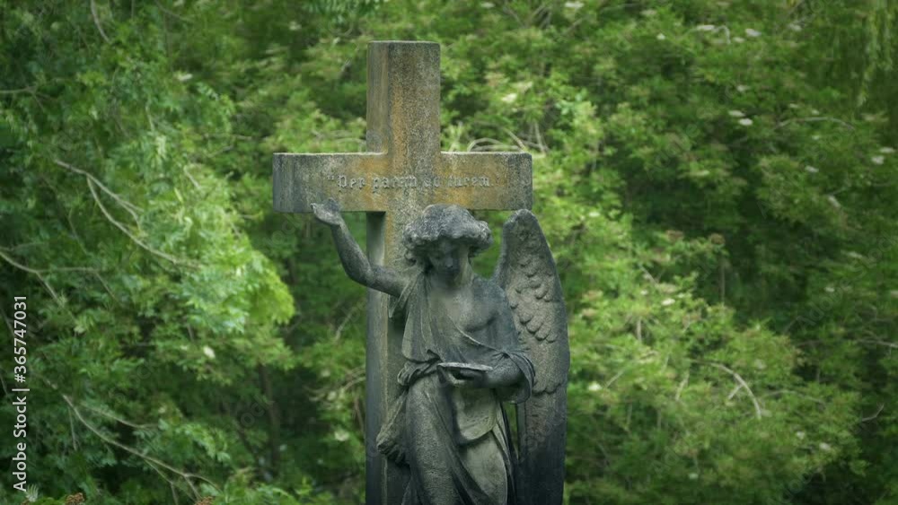 Angel Statue On Grave With Trees Behind Angel Statue On Grave With Trees Behind