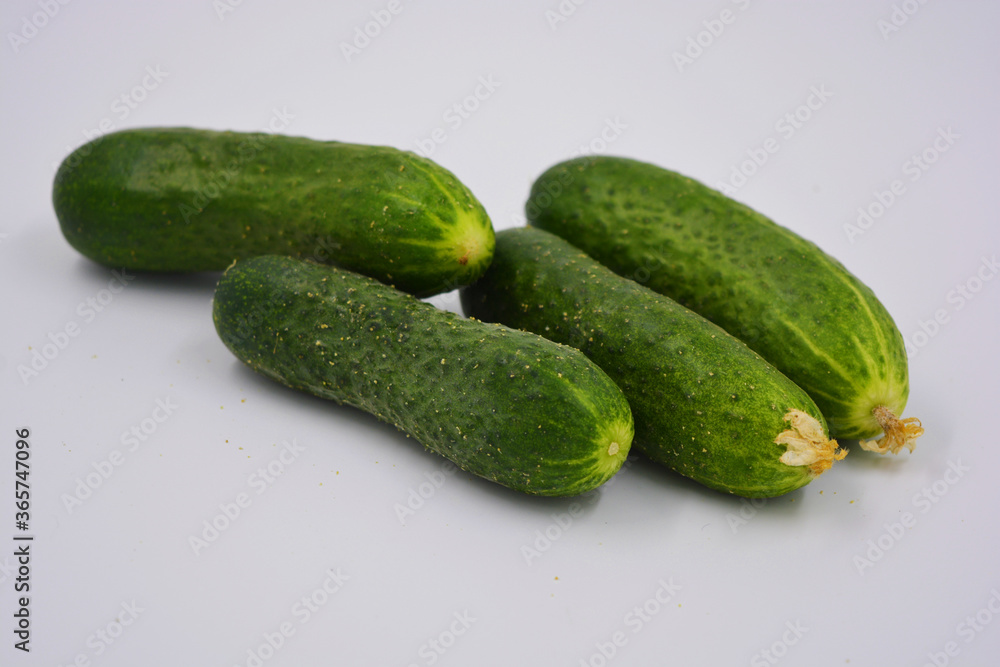 Young juicy cucumbers, Ukrainian cucumber harvest arranged on a white background. Fresh vegetables, healthy food for every day. Young juicy cucumbers, Ukrainian cucumber harvest arranged on a white background. Fresh vegetables, healthy food for every day.