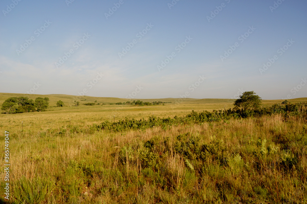 Kansas prairie grass and sky in the summer sun.