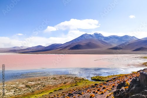 Fantastic colors of the Colorado lagoon on the Altiplano plateau in Bolivia