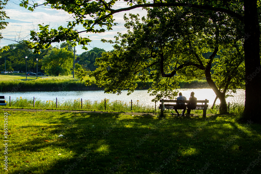 a couple silhouette sitting romantically on a park bench during sunset in Chicago. the beautiful green scenery creates calm relax feeling for dating a couple silhouette sitting romantically on a park bench during sunset in Chicago. the beautiful green scenery creates calm relax feeling for dating