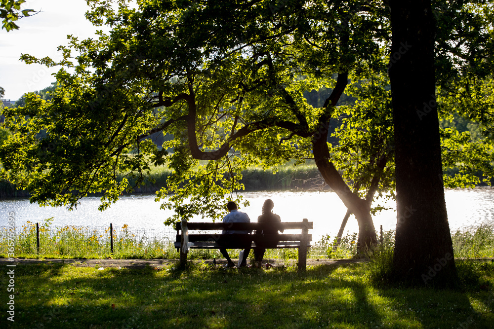 a couple silhouette sitting romantically on a park bench during sunset in Chicago. the beautiful green scenery creates calm relax feeling for dating 