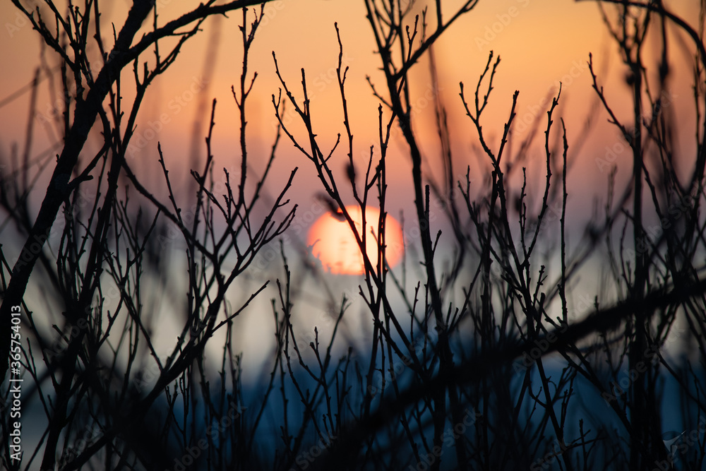 Obraz premium sunset over the lake