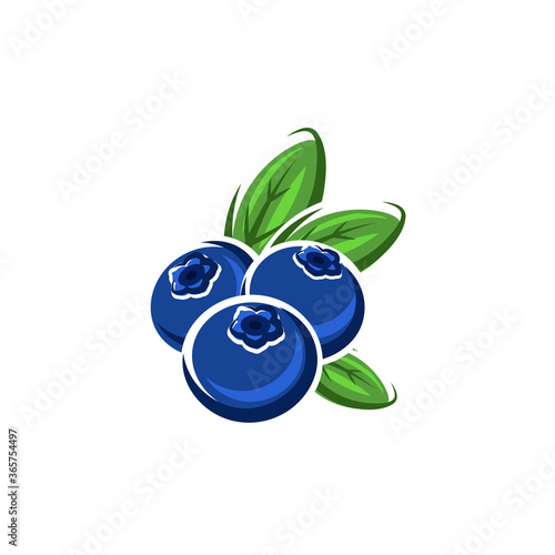 Blueberry or bog whortleberry isolated ripe summer berries. Vector bilberry huckleberry food dessert