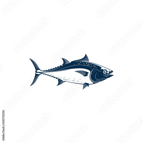 Bluefin tuna, blackfin longtail yellowfin, fishing sport mascot isolated. Vector tuna saltwater fish icon. Tunny, tribe Thunnini, Scombridae mackerel. Large and active predatory schooling fish