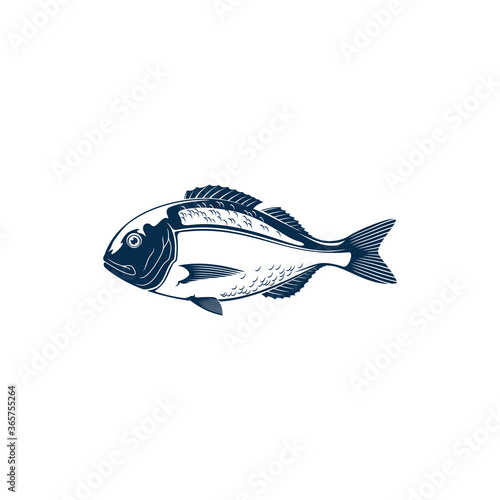 Gilt head bream isolated Sparus aurata saltwater fish. Vector Orata or Dorada fish of bream family Sparidae found in Mediterranean Sea. Icon of underwater animal with flounders, seafood