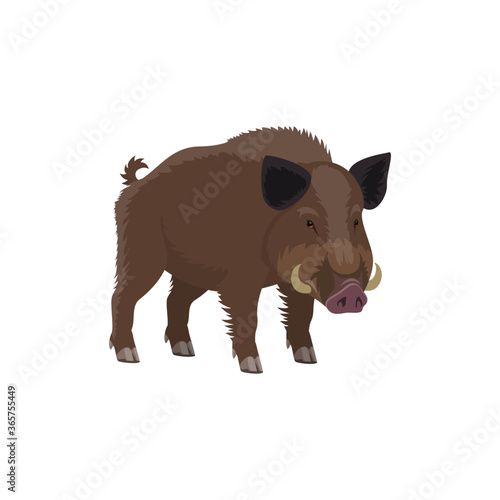 Boar wild animal vecor isolated icon. Zoo predatory mammal and hunt trophy aper hog