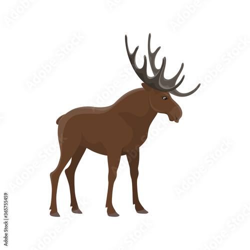 Elk wild animal vector isolated icon. Zoo mammal moose and hunt trophy wapiti elk © Vector Tradition