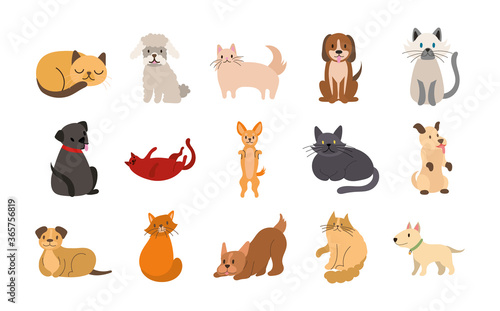 Fototapeta Naklejka Na Ścianę i Meble -  bundle of cats and dogs set icons