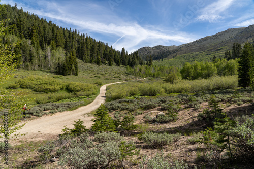 mountain road to marlette lake nevada photo