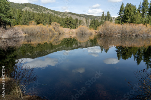 Reflection on the pond surface © Dennis W. McHugh