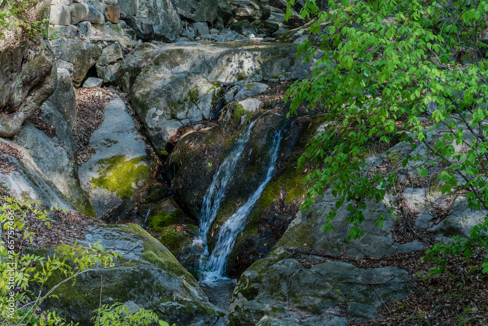 Fototapeta premium Mountain stream flowing over boulders
