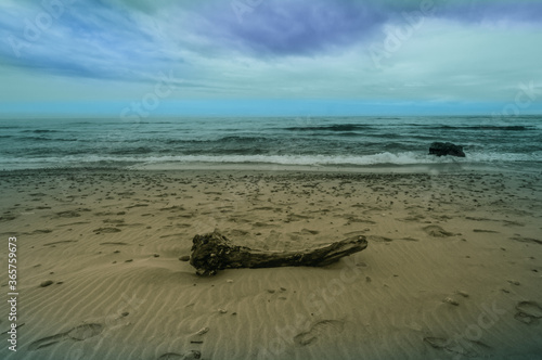 Fototapeta Naklejka Na Ścianę i Meble -  Large piece of drift wood on sandy beach