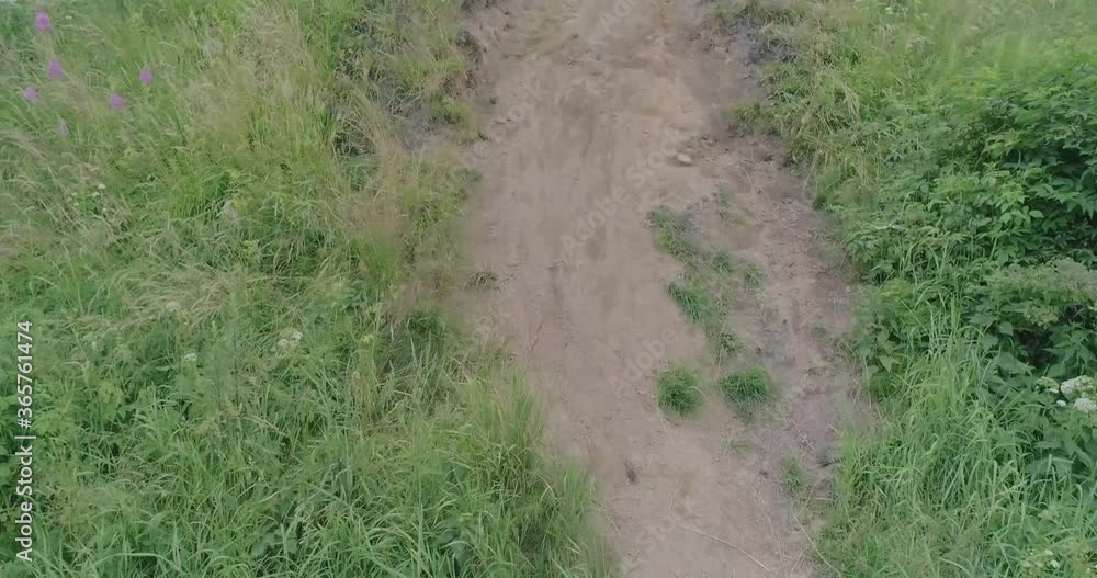 Russian landscape. Beautiful views of an ancient mound on the Bank of the Volkhov river, taken from a quadcopter on a summer day. According to legend, this hill is the grave of the 