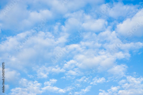 Fototapeta Naklejka Na Ścianę i Meble -  Sunny day blue sky with fluffy cloud
