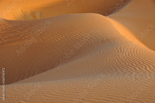 Fototapeta Naklejka Na Ścianę i Meble -  Contours of sand dunes at Liwa, Abu Dhabi, United Arab Emirates