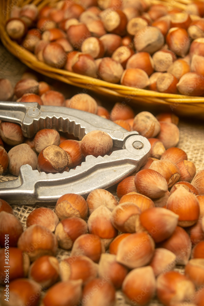 Hazelnuts in a wicker basket, a scattering of hazelnuts and a Nutcracker on the background of burlap with a rough texture. Close up. Hazelnuts in a wicker basket, a scattering of hazelnuts and a Nutcracker on the background of burlap with a rough texture. Close up.