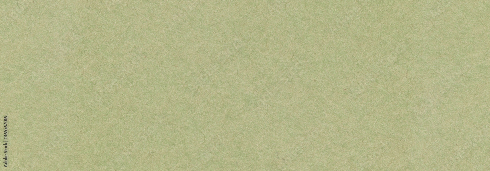 Fototapeta premium Olive green paper texture background