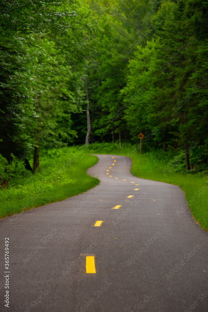 Obraz premium Recreation forest bike lane at Mont-Tremblant
