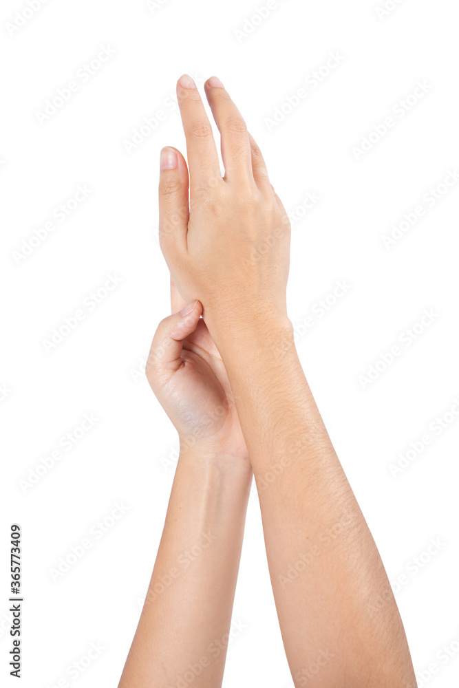 Beautiful Woman Hands. Female Hands Applying Cream Isolated on white background Beautiful Woman Hands. Female Hands Applying Cream Isolated on white background