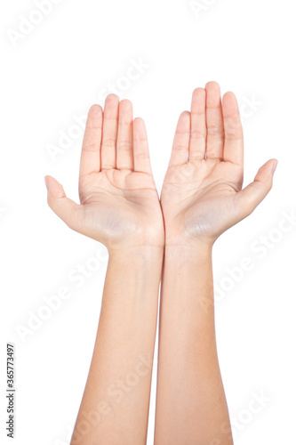 Two open female hands on white background
