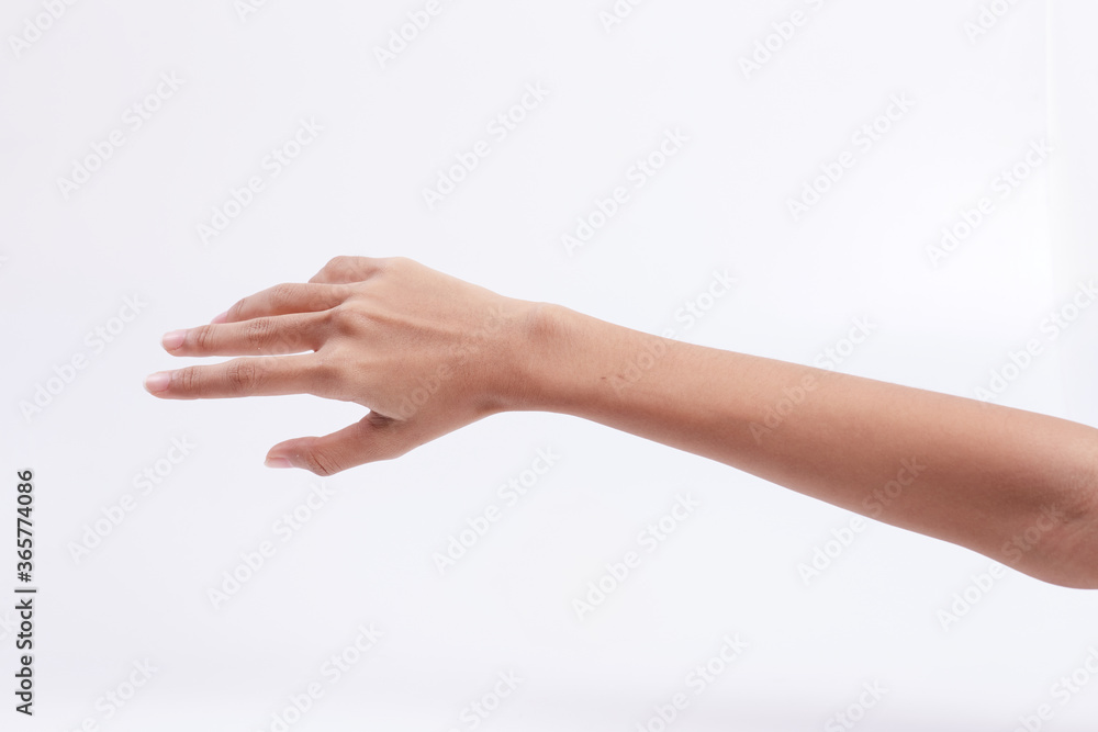 Young woman hand isolated on white background. Young woman hand isolated on white background.