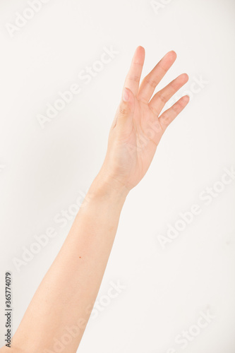 Young woman hand isolated on white background.