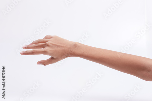 Photography Young woman hand isolated on white background.