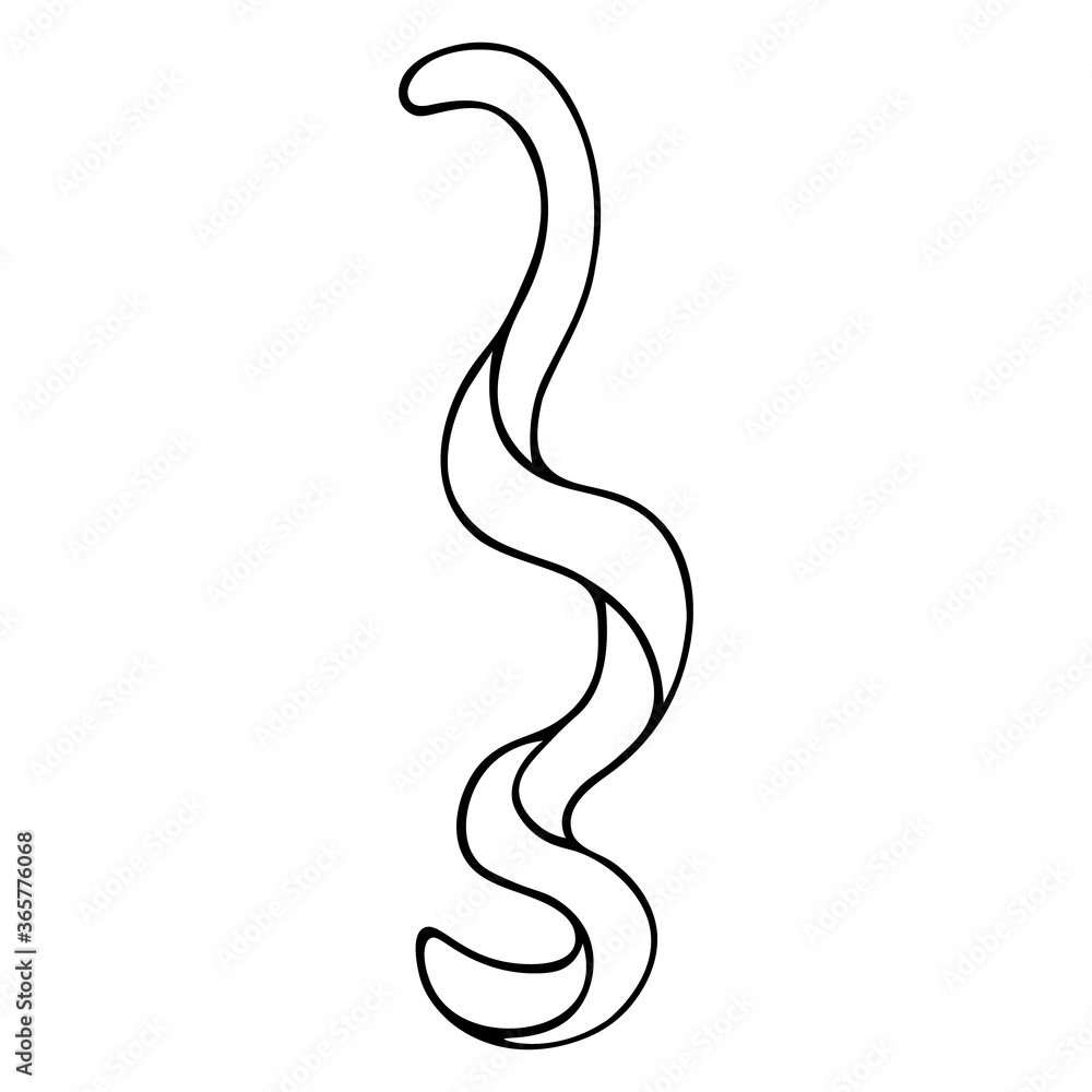 Decoration for a refreshing cocktail. Sketch. Vector stock illustration. Orange peel. Outline on an isolated white background. Doodle style. Fruit zest. The skin is peeled in a spiral. Alcohol drink.