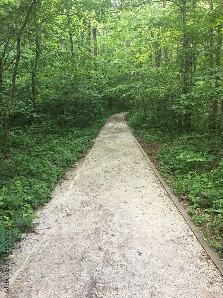 Path on hiking trail