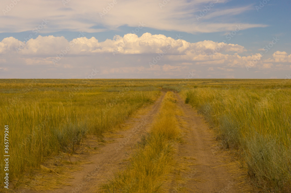 Landscape, prairie road. Beautiful clouds, high burnt grass. Steppe and sky