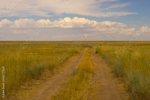 Landscape  prairie road. Beautiful clouds  high burnt grass. Steppe and sky
