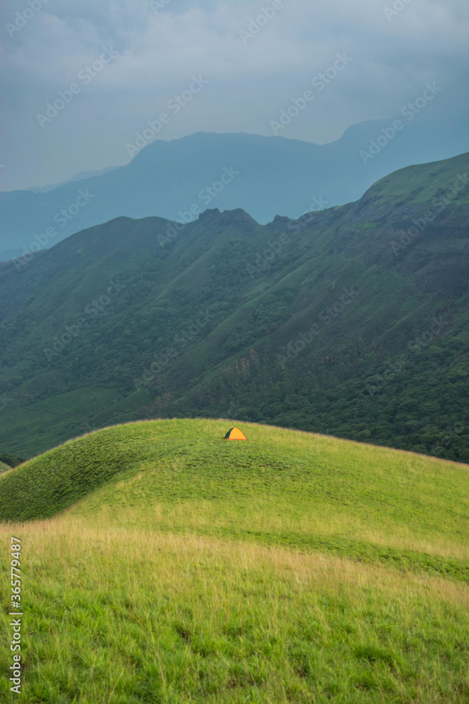 Obraz premium green field and mountains