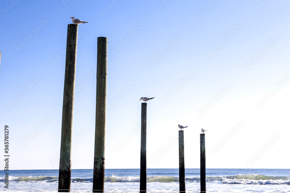 Beautiful Daytona beach,Florida and Blue sky. Beautiful Daytona beach,Florida and Blue sky.