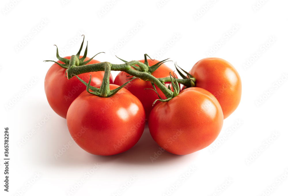 Tomatoes on branch isolated from white background Tomatoes on branch isolated from white background