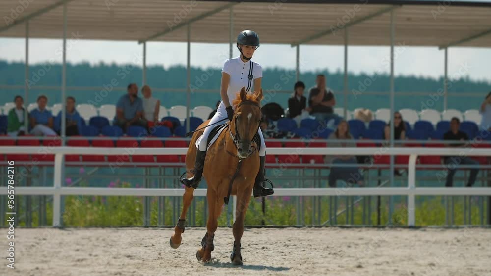Woman rider galloping at training parkour arena outdoor show jumping competition Woman rider galloping at training parkour arena outdoor show jumping competition