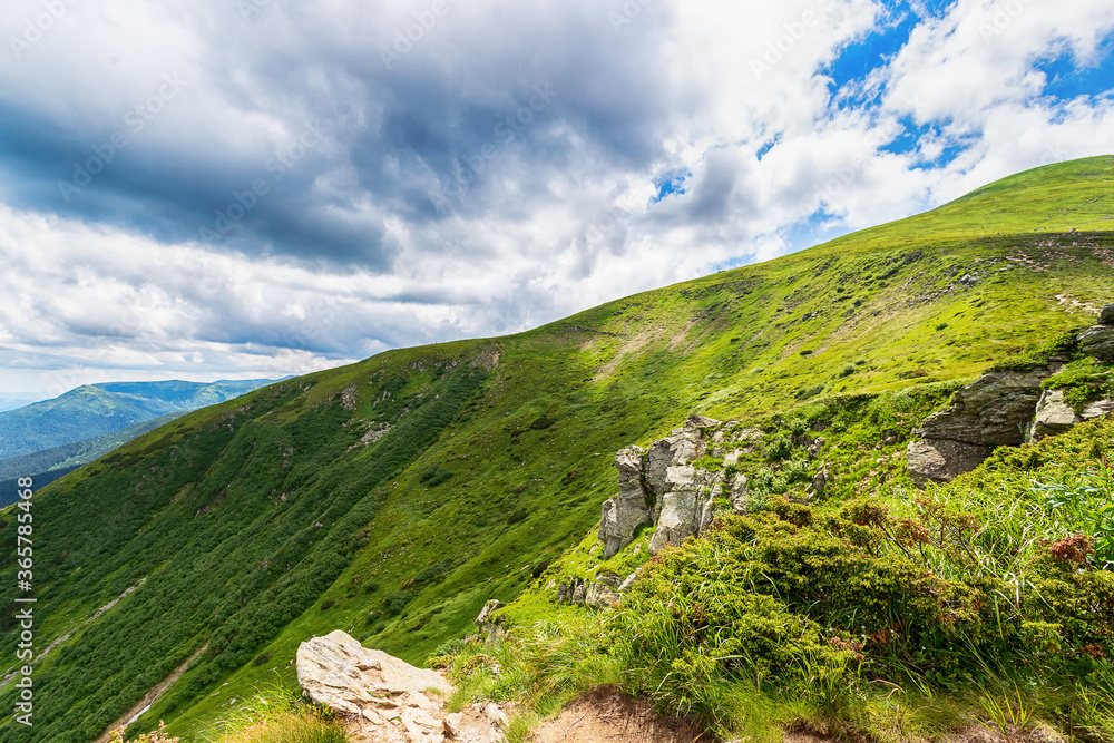 Fototapeta premium Mountain landscape with beautiful, low clouds. Carpathians. Ukraine. Nature. Leisure. Tourism.