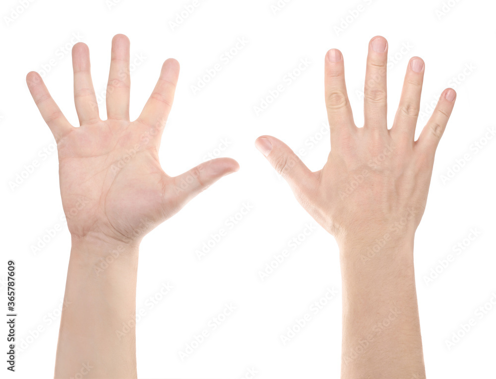 Raised hand, isolated on white background Raised hand, isolated on white background