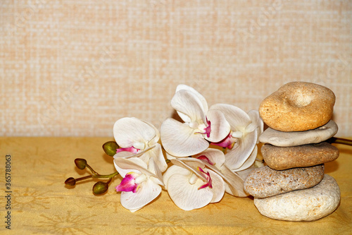 white orchid flower and natural stone pyramid, relaxing background