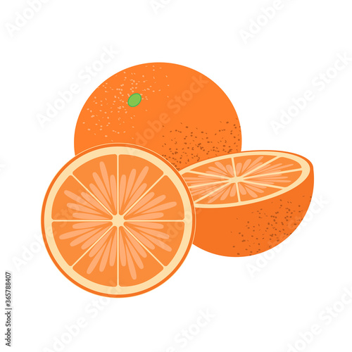Whole and half vector orange set