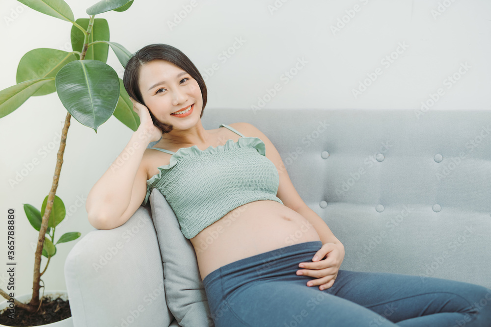 Home cozy portrait of pregnant woman resting at home on sofa Home cozy portrait of pregnant woman resting at home on sofa