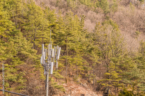 Communication tower on a hill among evergreen trees