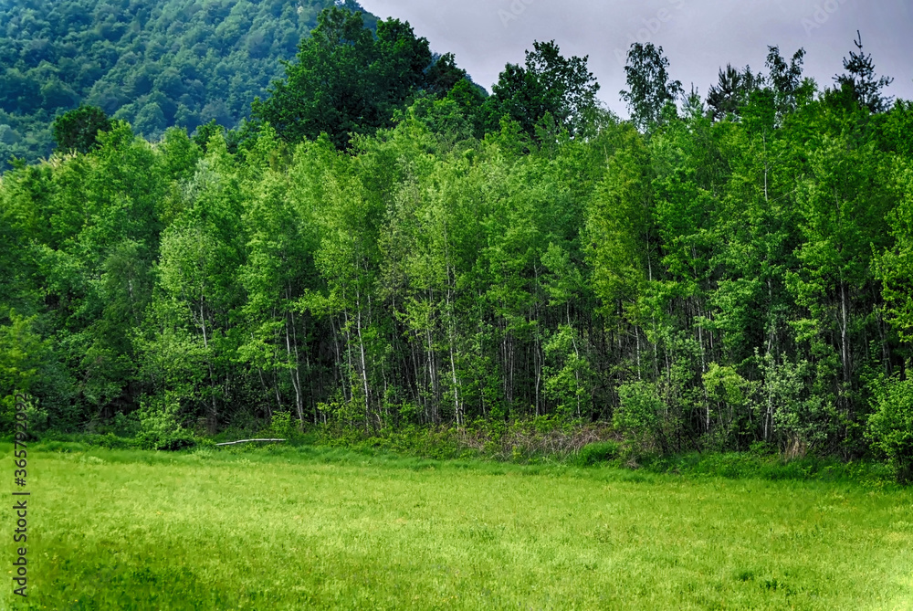 Countryside landscape with green meadow and green forest at spring day. Countryside landscape with green meadow and green forest at spring day.