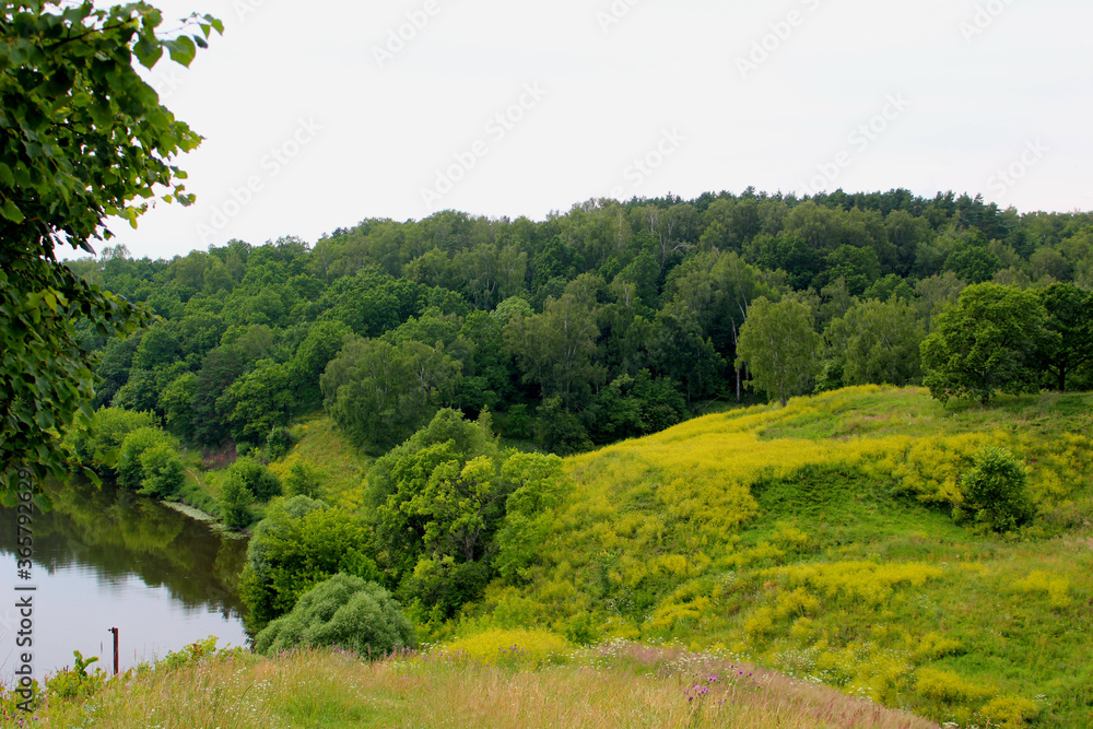 picturesque high Bank of the Pakhra river Moscow region in summer 