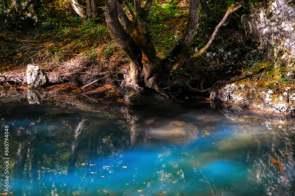 Fototapeta premium Calm emerald green water of mountain river passing by under forest surroundings.