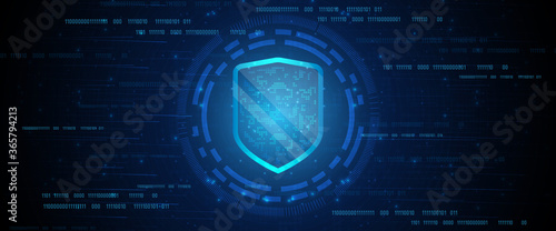 Online data protection shield
