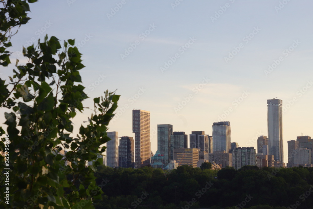 Toronto city before the sunset