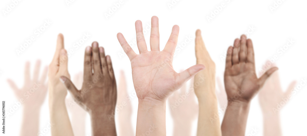 Many raised human hands, isolated on white background Many raised human hands, isolated on white background